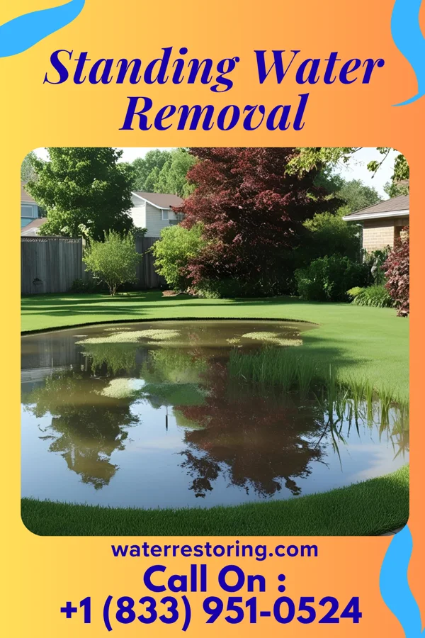 Standing Water Removal in Fremont, IN